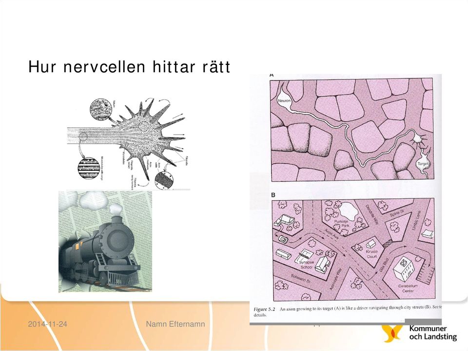 hittar rätt