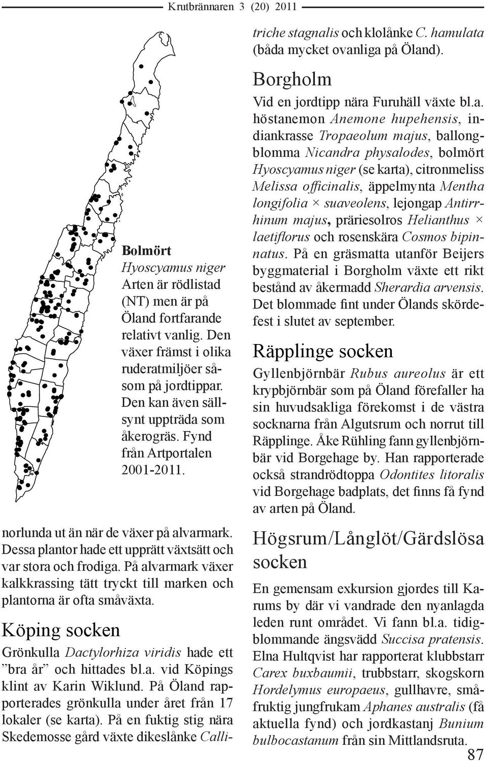 På alvarmark växer kalkkrassing tätt tryckt till marken och plantorna är ofta småväxta. Köping socken Grönkulla Dactylorhiza viridis hade ett bra år och hittades bl.a. vid Köpings klint av Karin Wiklund.