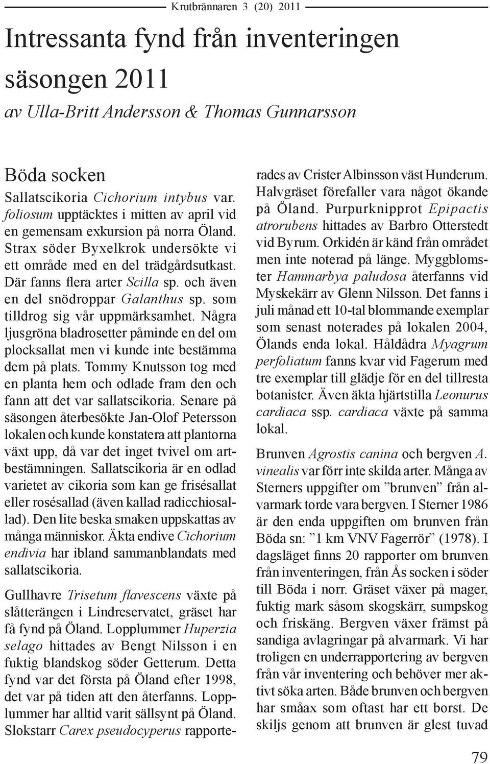 och även en del snödroppar Galanthus sp. som tilldrog sig vår uppmärksamhet. Några ljusgröna bladrosetter påminde en del om plocksallat men vi kunde inte bestämma dem på plats.