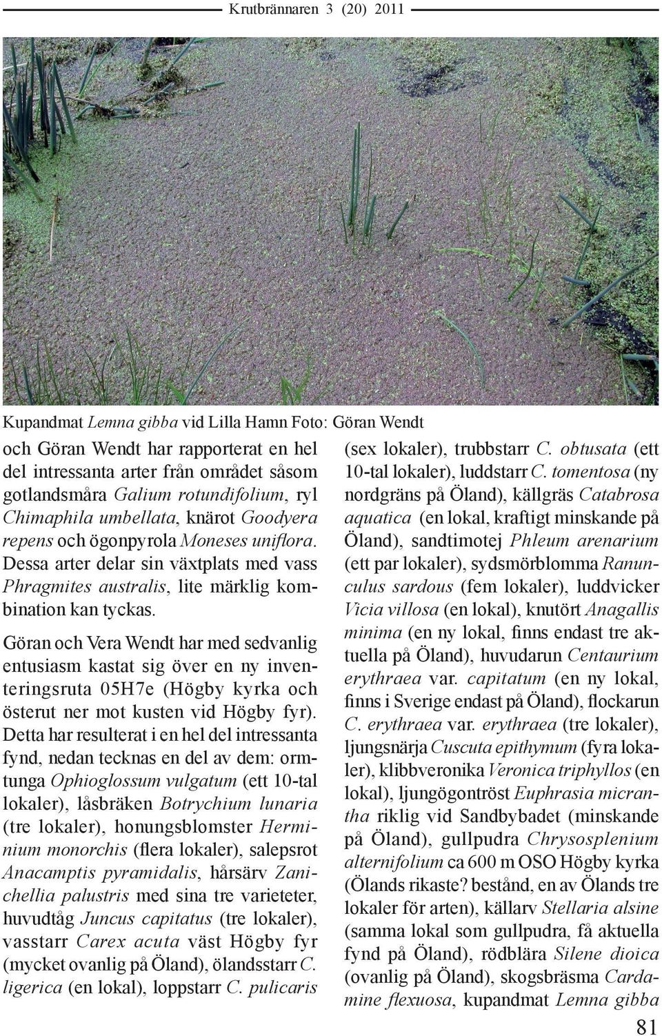 Göran och Vera Wendt har med sedvanlig entusiasm kastat sig över en ny inventeringsruta 05H7e (Högby kyrka och österut ner mot kusten vid Högby fyr).