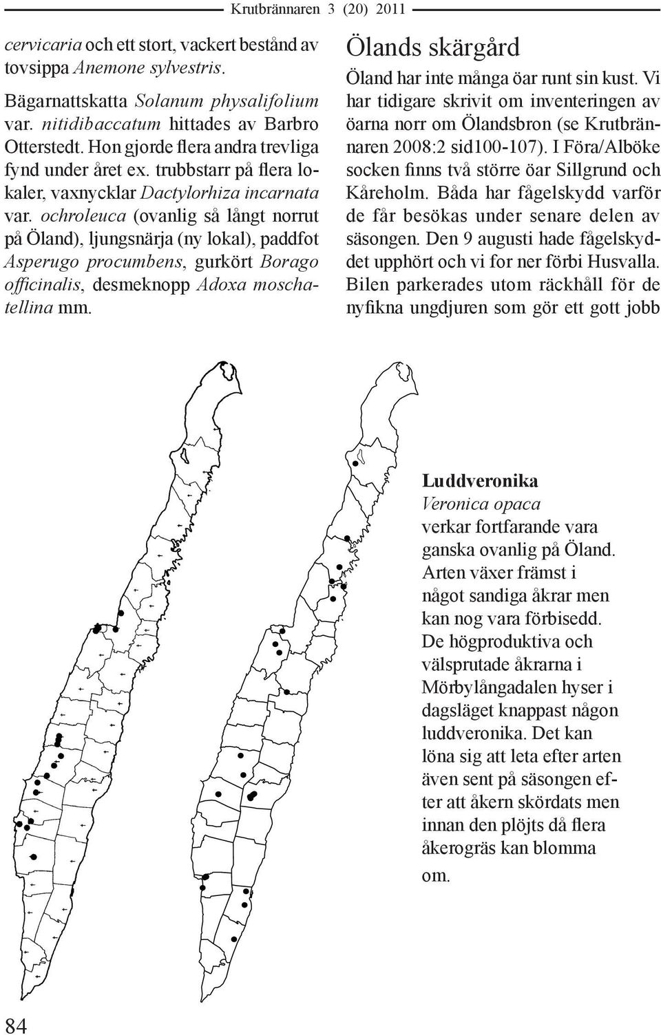 ochroleuca (ovanlig så långt norrut på Öland), ljungsnärja (ny lokal), paddfot Asperugo procumbens, gurkört Borago officinalis, desmeknopp Adoxa moschatellina mm.