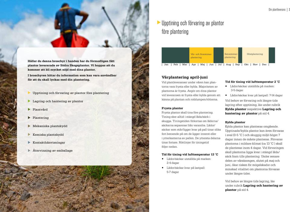 Sensommarplantering Höstplantering Jan Feb Mar Apr Maj Jun Jul Aug Sep Okt Nov Dec I broschyren hittar du information som kan vara användbar för att du skall lyckas med din plantering.