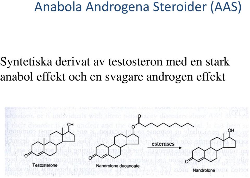 testosteron med en stark anabol