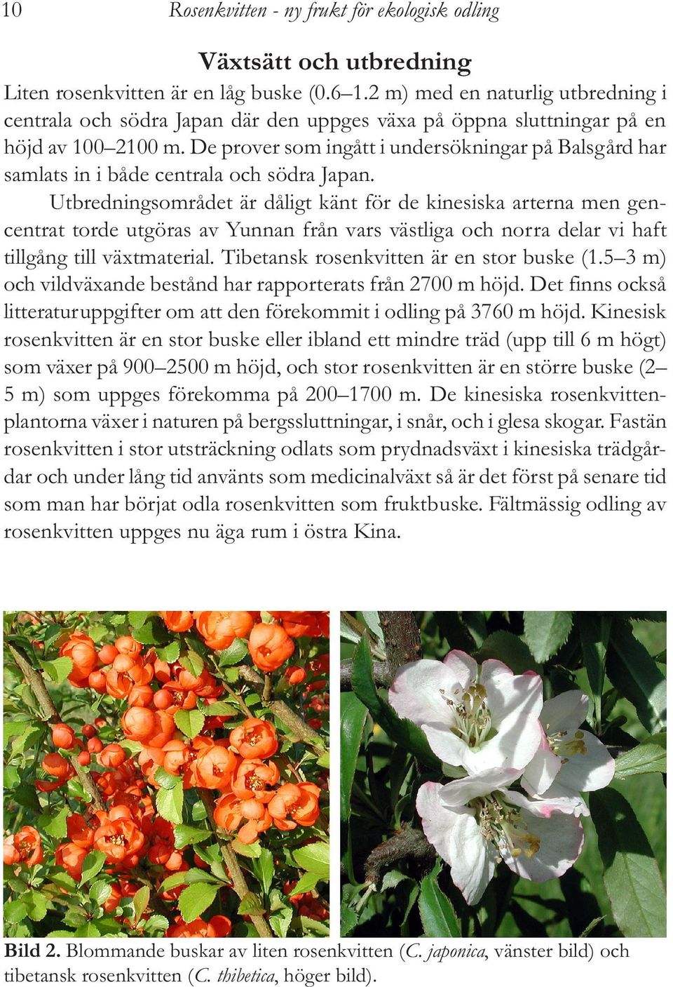 De prover som ingått i undersökningar på Balsgård har samlats in i både centrala och södra Japan.