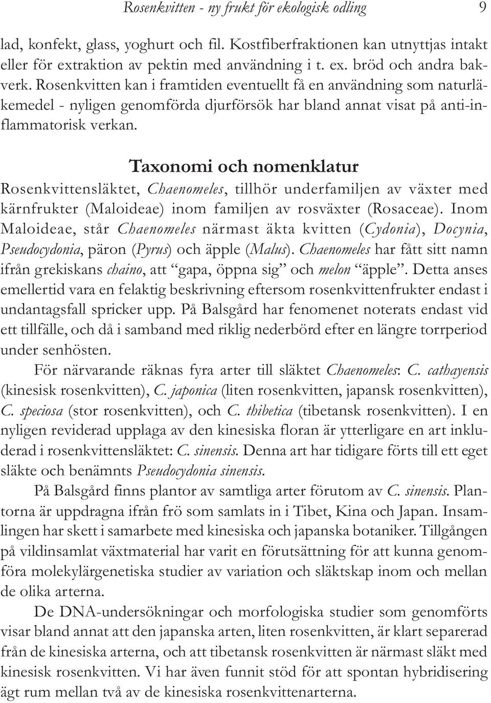 Taxonomi och nomenklatur Rosenkvittensläktet, Chaenomeles, tillhör underfamiljen av växter med kärnfrukter (Maloideae) inom familjen av rosväxter (Rosaceae).