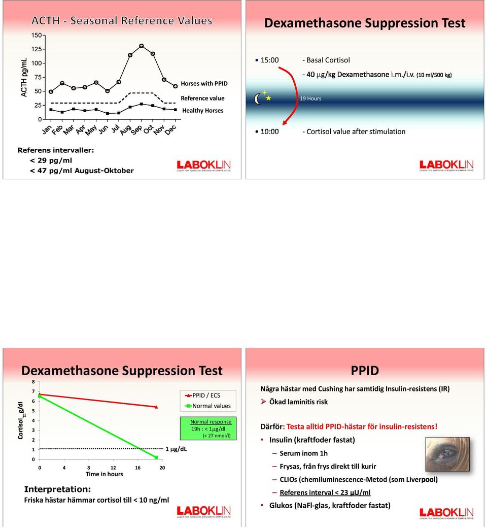(10 ml/500 kg) 19 Hours 10:00 - Cortisol value after stimulation Referens intervaller: < 29 pg/ml < 47 pg/ml August-Oktober Dexamethasone Suppression Test 8 7 6 5 4 3 2 1 0 0 4 8 12 16 20 Time in