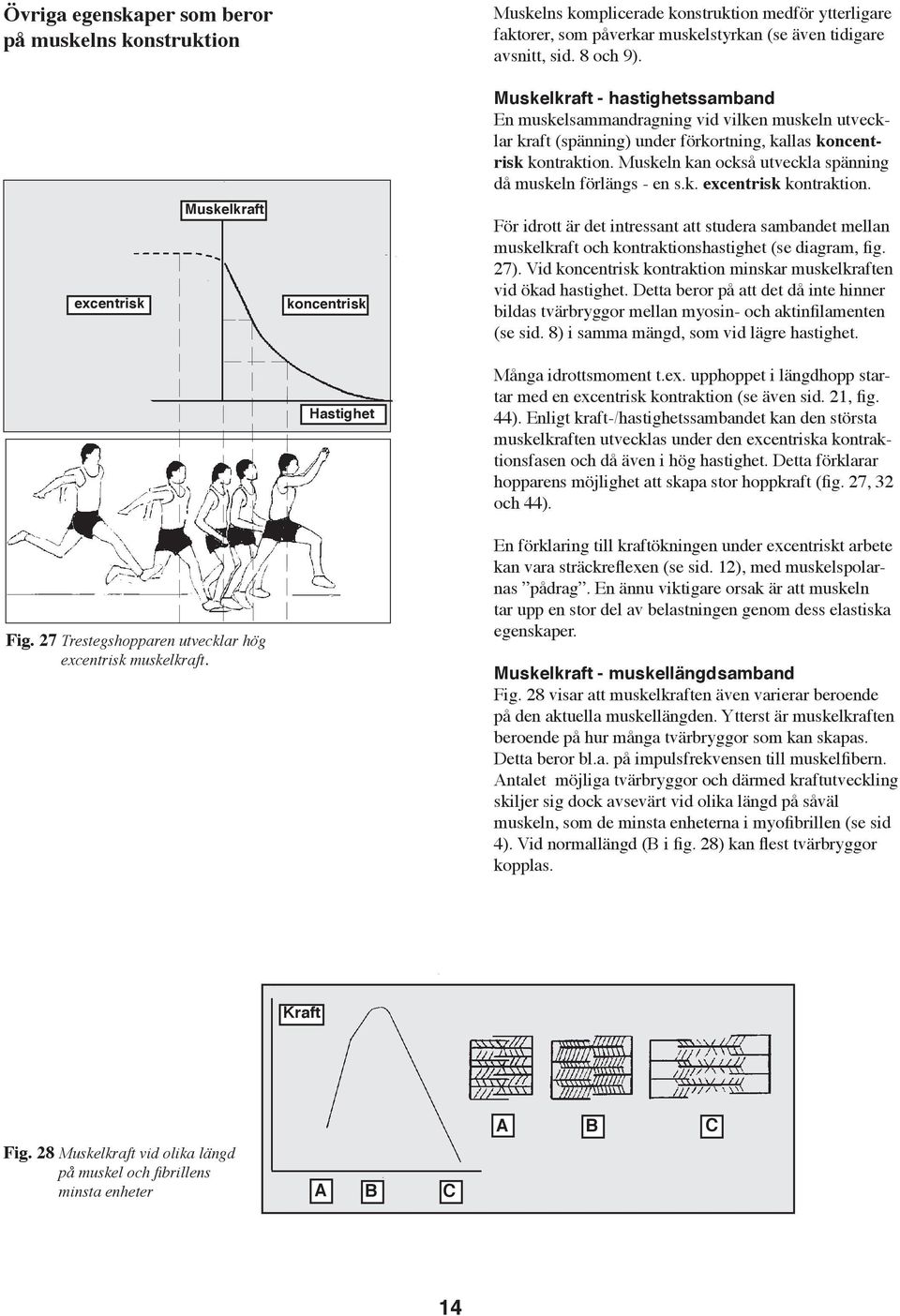 Muskeln kan också utveckla spänning då muskeln förlängs - en s.k. excentrisk kontraktion.
