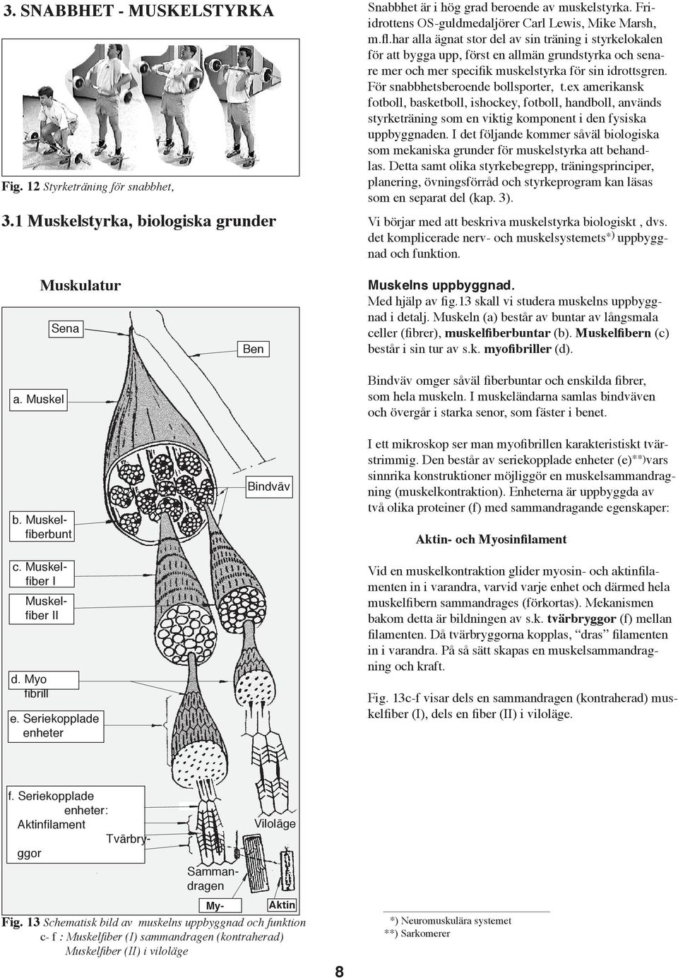 För snabbhetsberoende bollsporter, t.ex amerikansk fotboll, basketboll, ishockey, fotboll, handboll, används styrketräning som en viktig komponent i den fysiska uppbyggnaden.