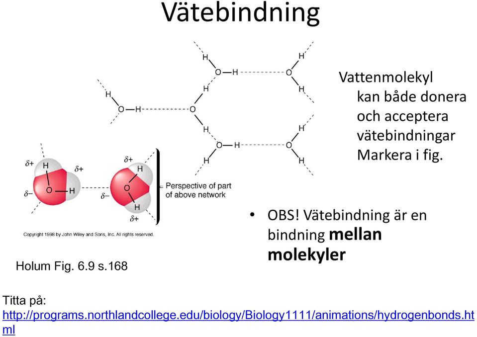 Vätebindning är en bindning mellan molekyler Titta på: