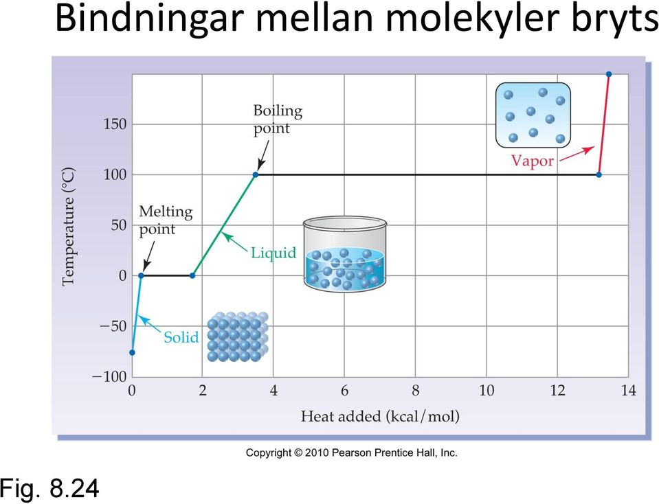 Bindningar