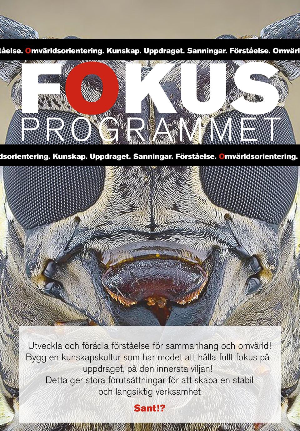 Utveckla och förädla förståelse för sammanhang och omvärld!