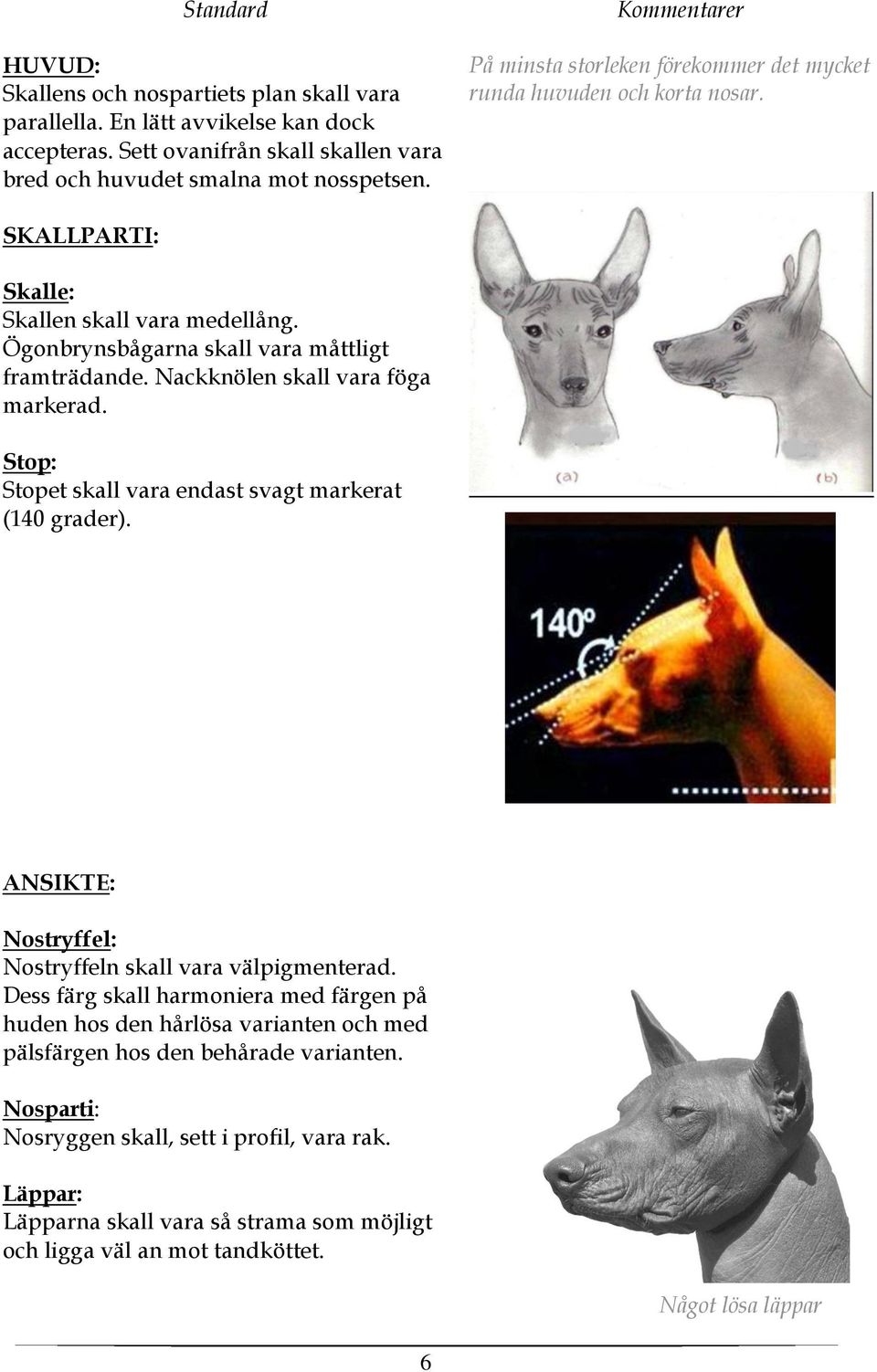 Nackknölen skall vara föga markerad. Stop: Stopet skall vara endast svagt markerat (140 grader). ANSIKTE: Nostryffel: Nostryffeln skall vara välpigmenterad.