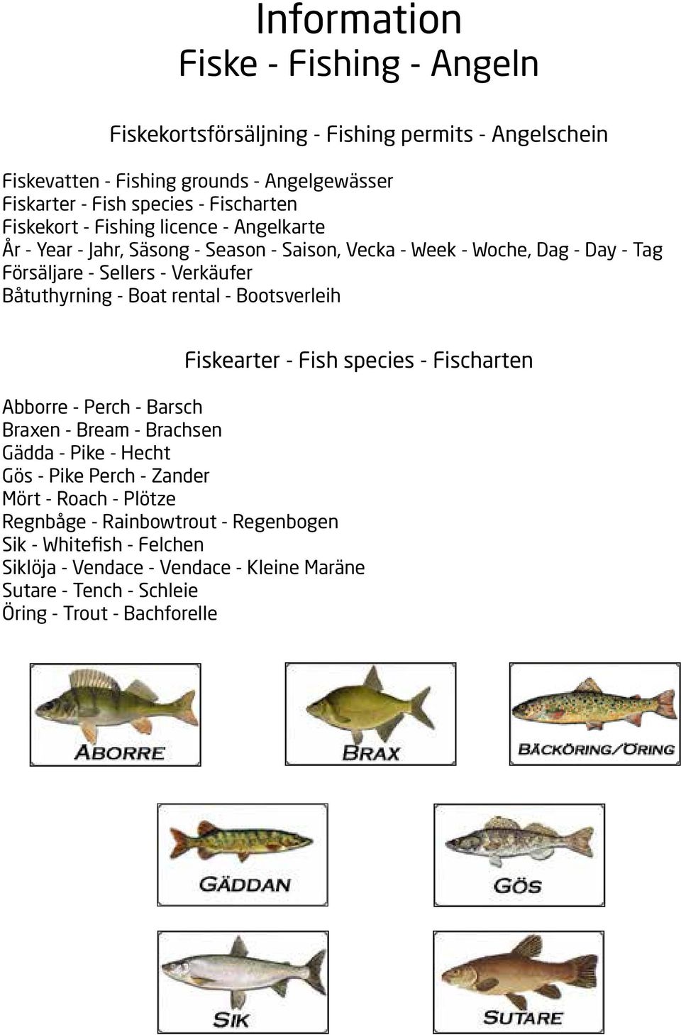 Båtuthyrning - Boat rental - Bootsverleih Fiskearter - Fish species - Fischarten Abborre - Perch - Barsch Braxen - Bream - Brachsen Gädda - Pike - Hecht Gös - Pike Perch -