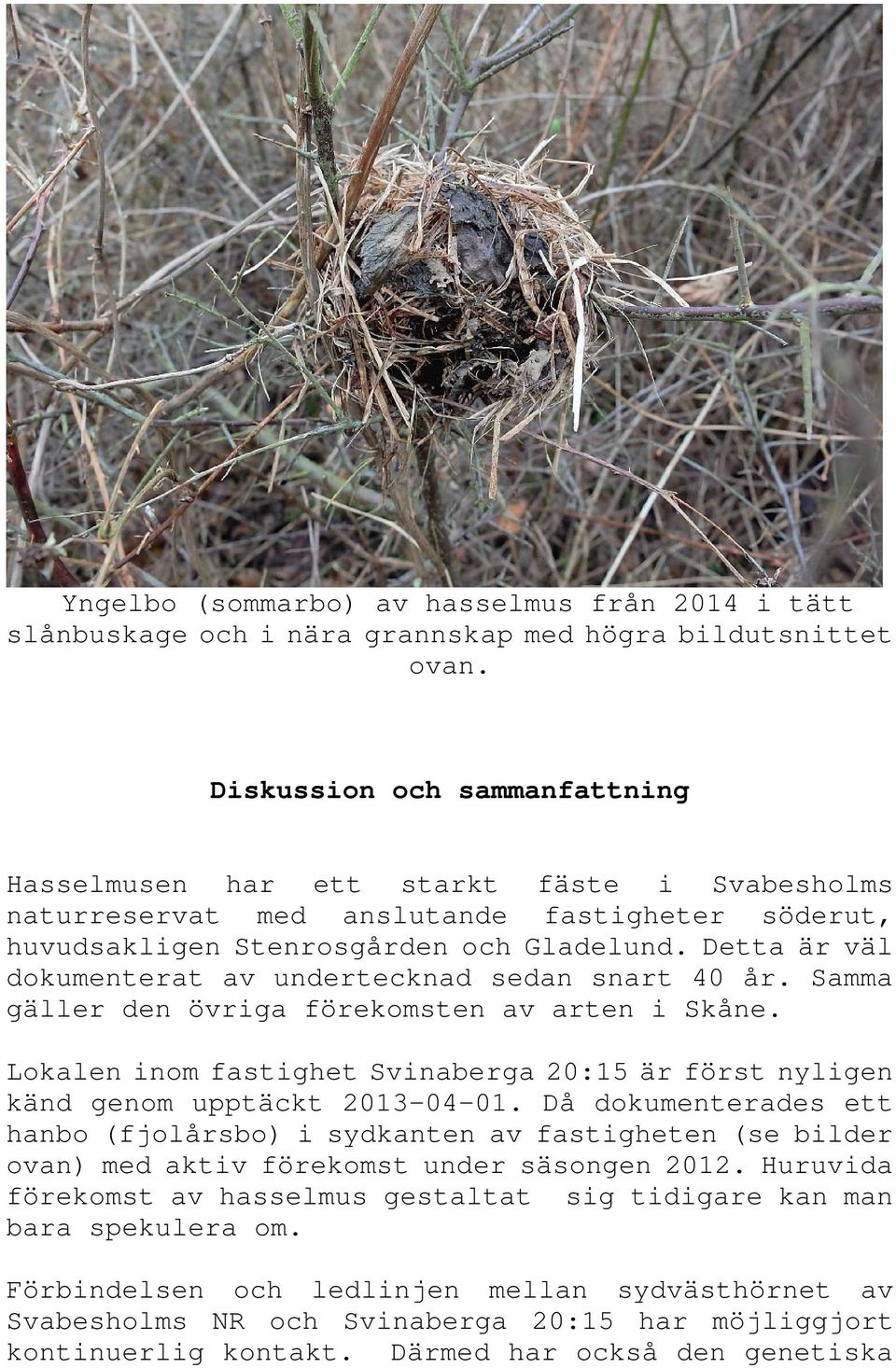 Detta är väl dokumenterat av undertecknad sedan snart 40 år. Samma gäller den övriga förekomsten av arten i Skåne.