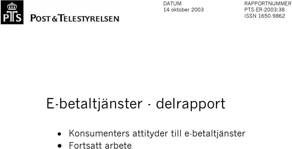 E-betaltjänster - delrapport