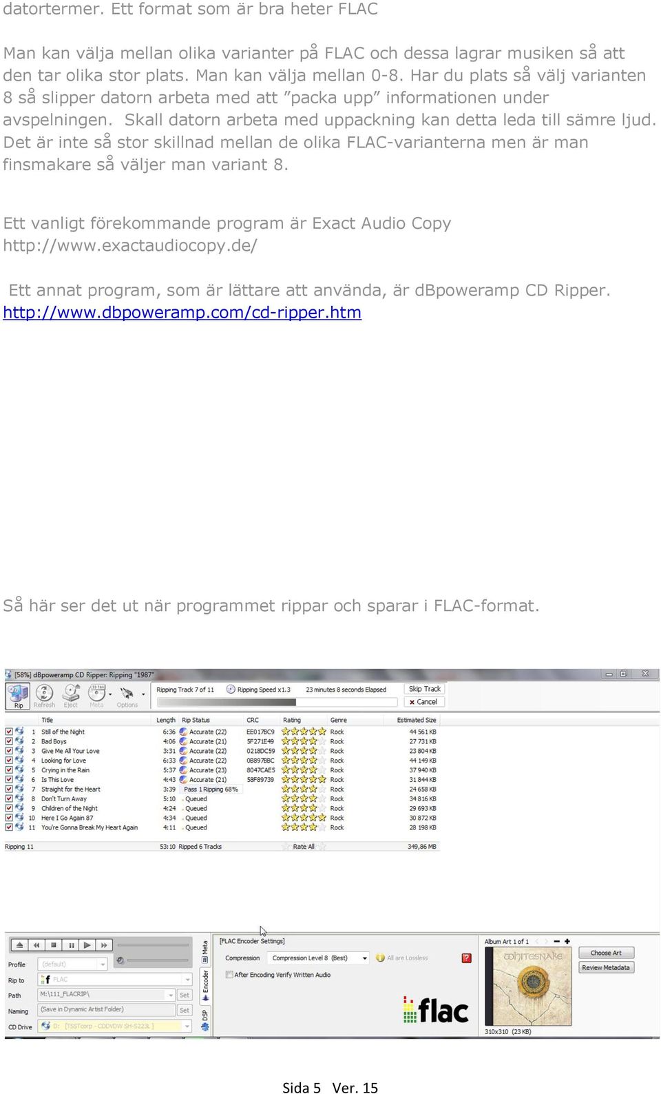 Det är inte så stor skillnad mellan de olika FLAC-varianterna men är man finsmakare så väljer man variant 8. Ett vanligt förekommande program är Exact Audio Copy http://www.