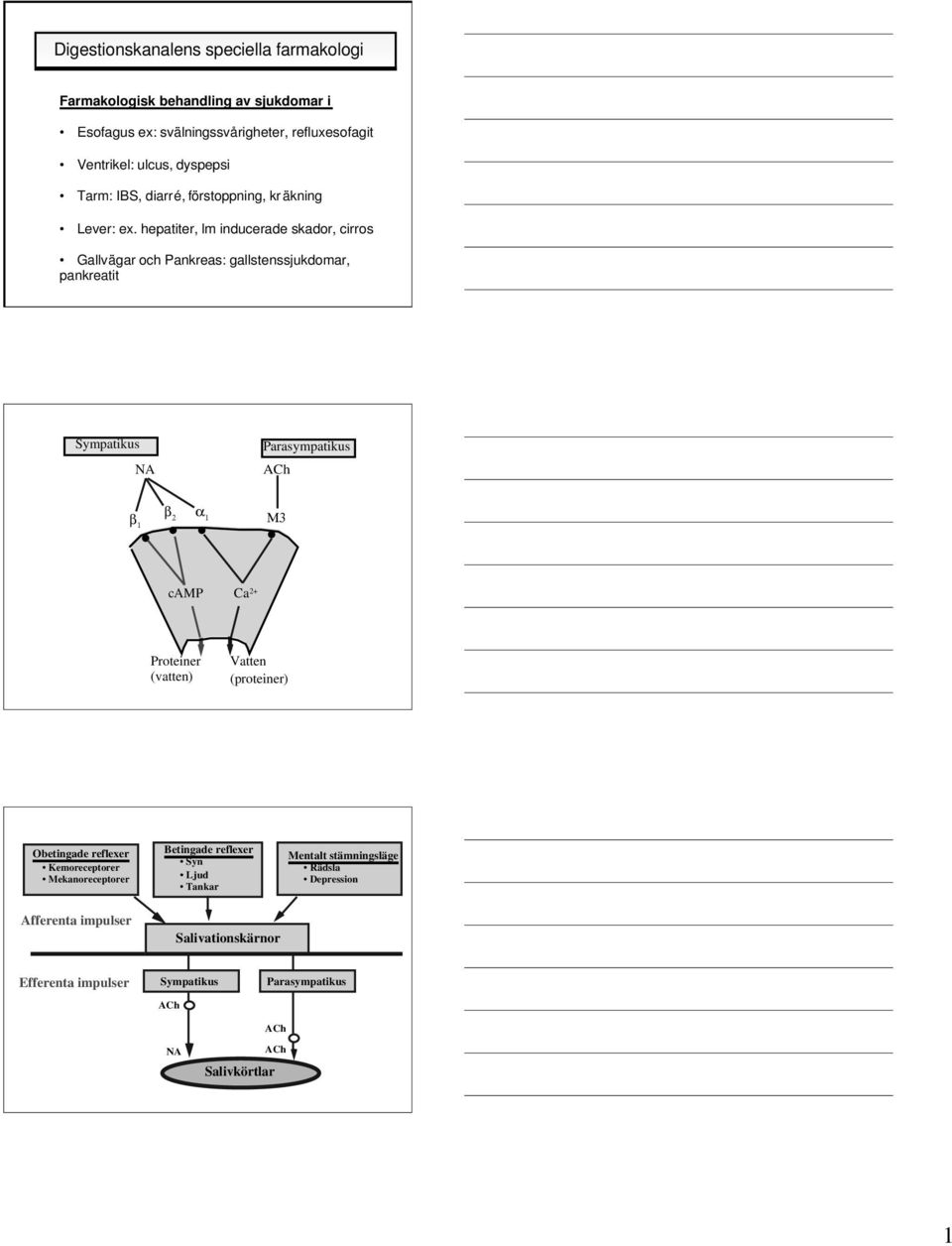 hepatiter, lm inducerade skador, cirros Gallvägar och Pankreas: gallstenssjukdomar, pankreatit Sympatikus NA Parasympatikus ACh β α β 2 1 1 Μ3 camp Ca 2+