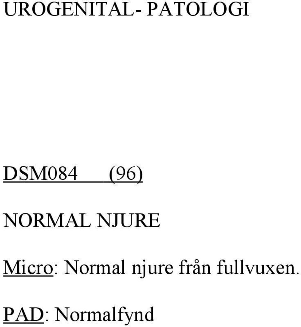 Micro: Normal njure från