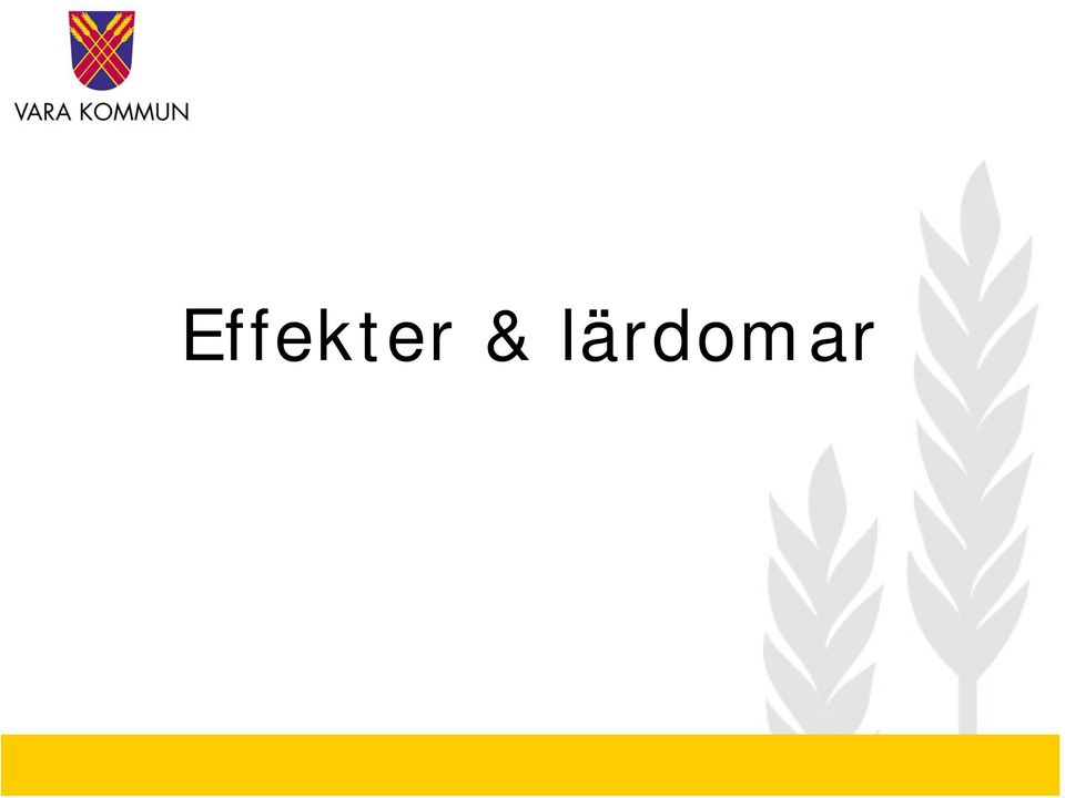 lärdomar