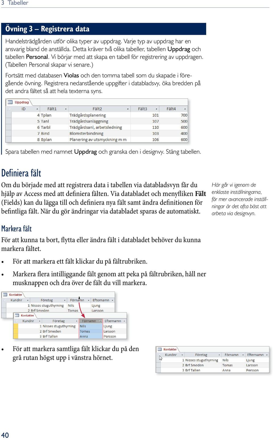 ) Fortsätt med databasen Violas och den tomma tabell som du skapade i föregående övning. Registrera nedanstående uppgifter i databladsvy, öka bredden på det andra fältet så att hela texterna syns.