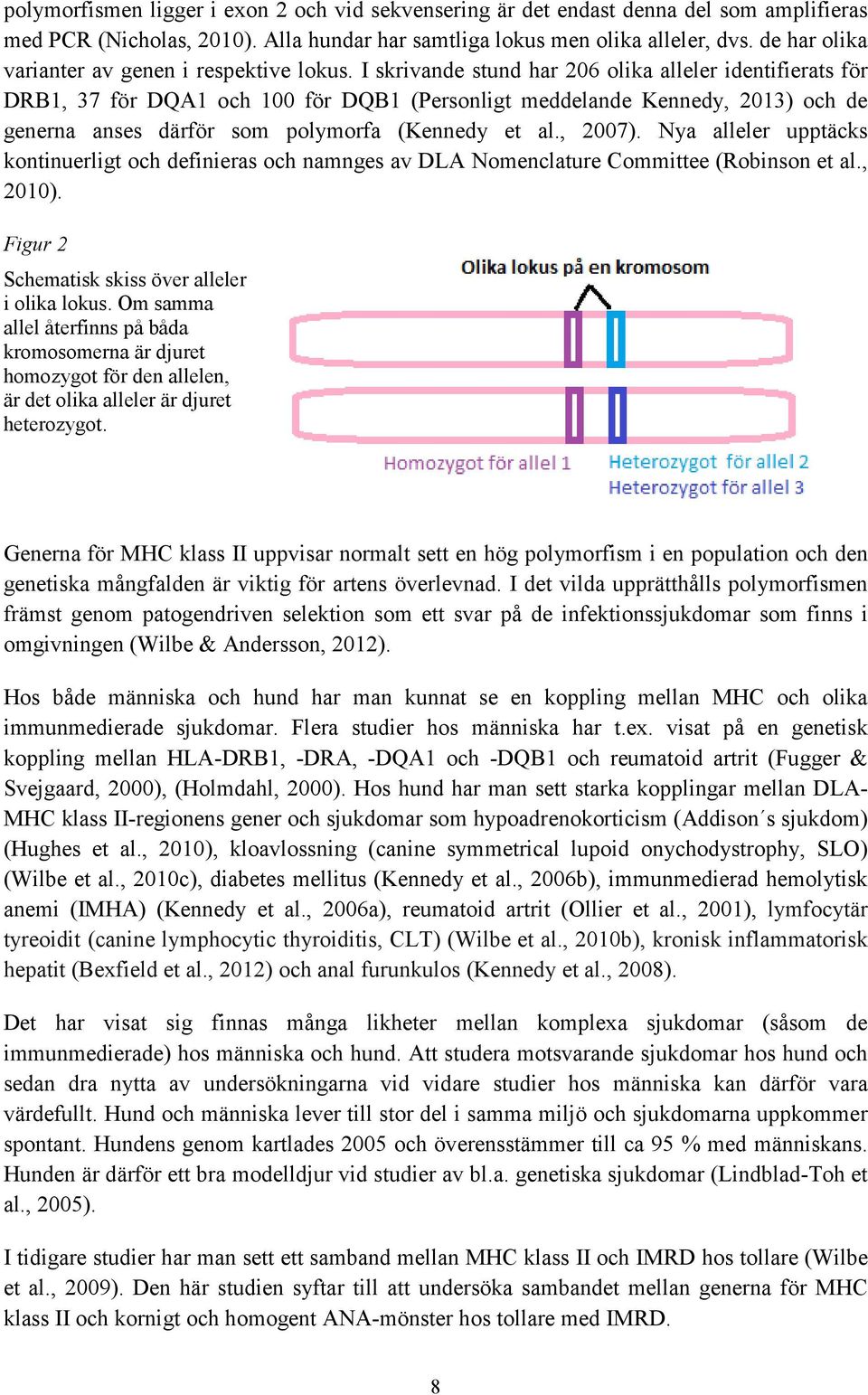 I skrivande stund har 206 olika alleler identifierats för DRB1, 37 för DQA1 och 100 för DQB1 (Personligt meddelande Kennedy, 2013) och de generna anses därför som polymorfa (Kennedy et al., 2007).