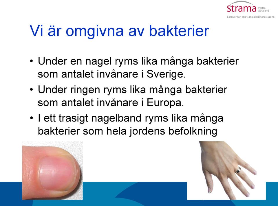 Under ringen ryms lika många bakterier som antalet invånare i