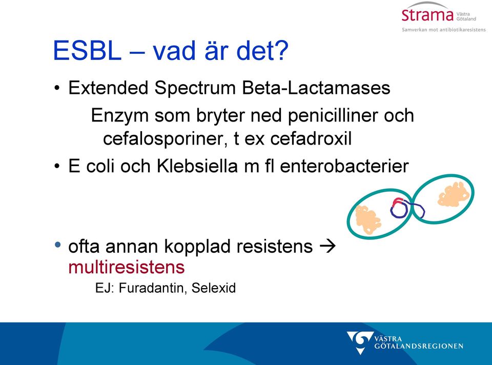 penicilliner och cefalosporiner, t ex cefadroxil E coli