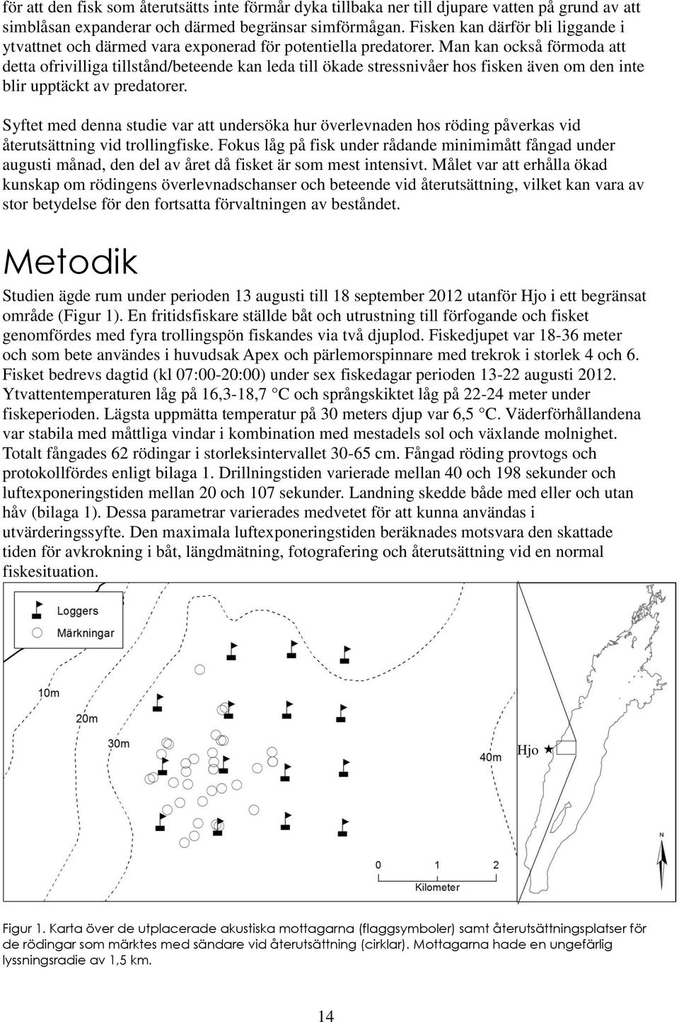 Man kan också förmoda att detta ofrivilliga tillstånd/beteende kan leda till ökade stressnivåer hos fisken även om den inte blir upptäckt av predatorer.