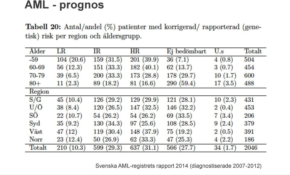 AML-registrets