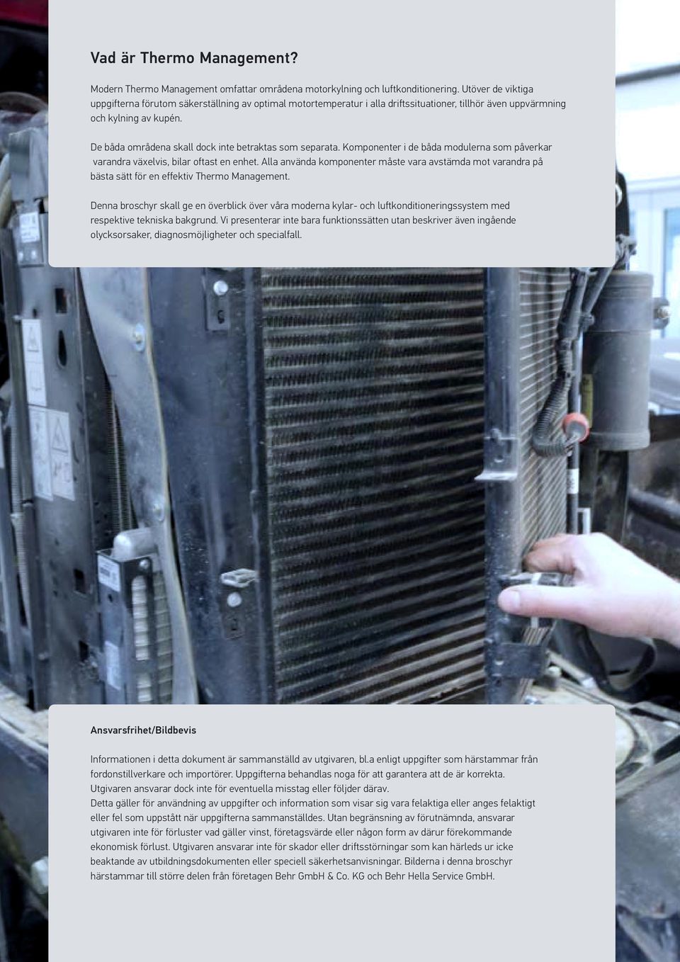 De båda områdena skall dock inte betraktas som separata. Komponenter i de båda modulerna som påverkar varandra växelvis, bilar oftast en enhet.