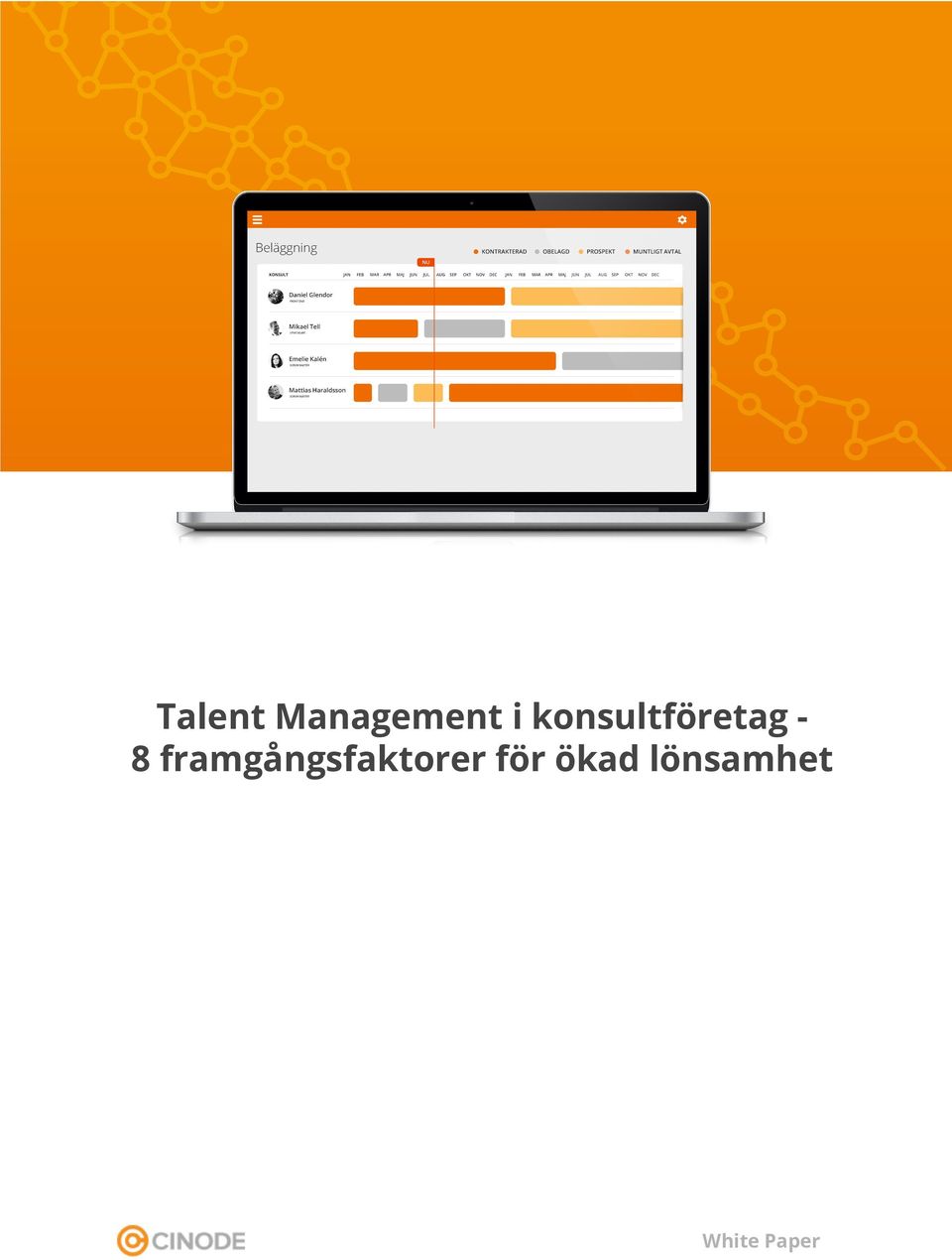framgångsfaktorer för