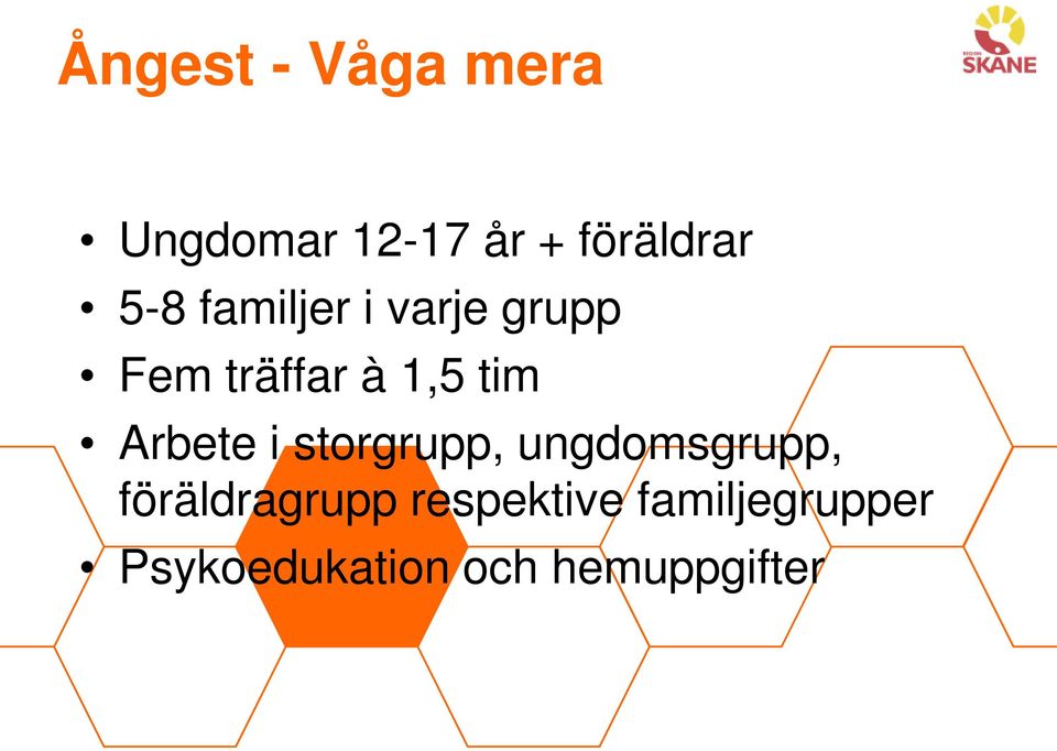 Arbete i storgrupp, ungdomsgrupp, föräldragrupp