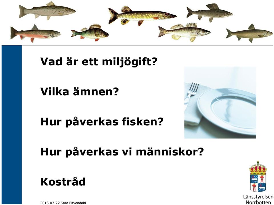 Hur påverkas fisken?