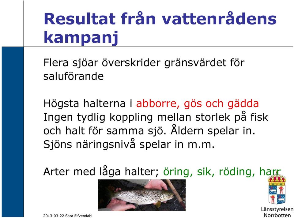 koppling mellan storlek på fisk och halt för samma sjö. Åldern spelar in.