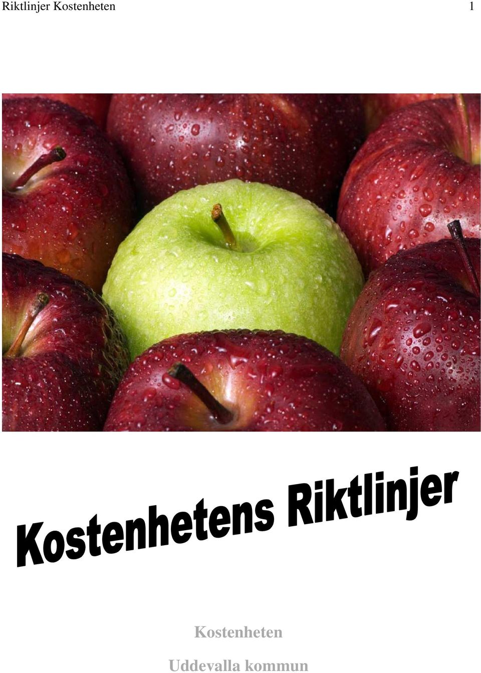 Kostenheten