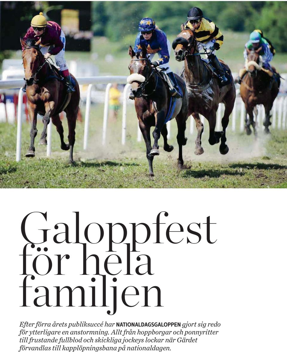 Allt från hoppborgar och ponnyritter till frustande fullblod och