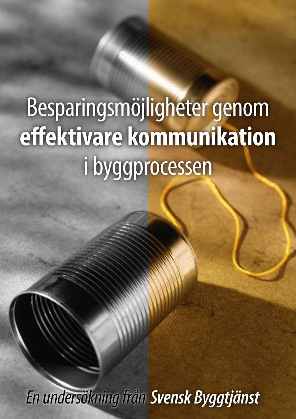 kommunikation i