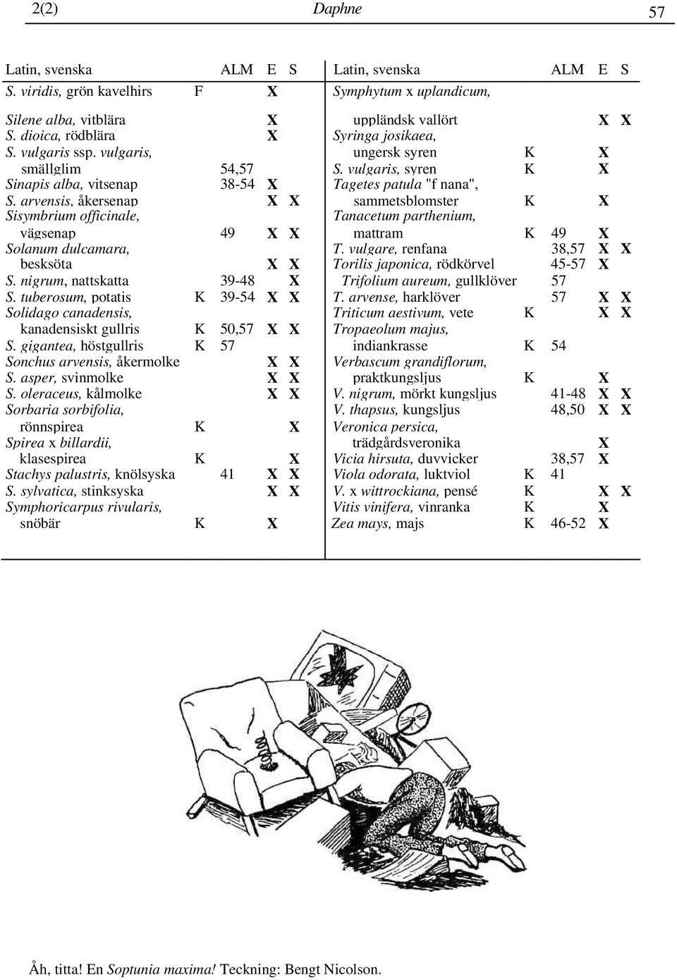 arvensis, åkersenap sammetsblomster K Sisymbrium officinale, Tanacetum parthenium, vägsenap 49 mattram K 49 Solanum dulcamara, T. vulgare, renfana 38,57 besksöta Torilis japonica, rödkörvel 45-57 S.