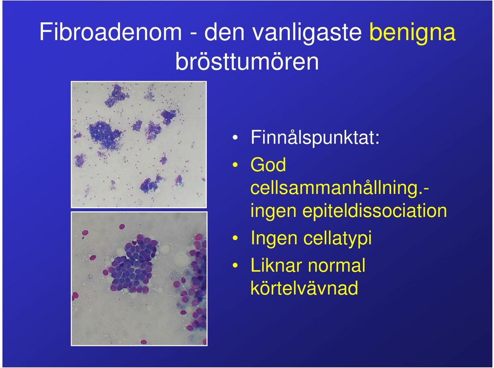 cellsammanhållning.