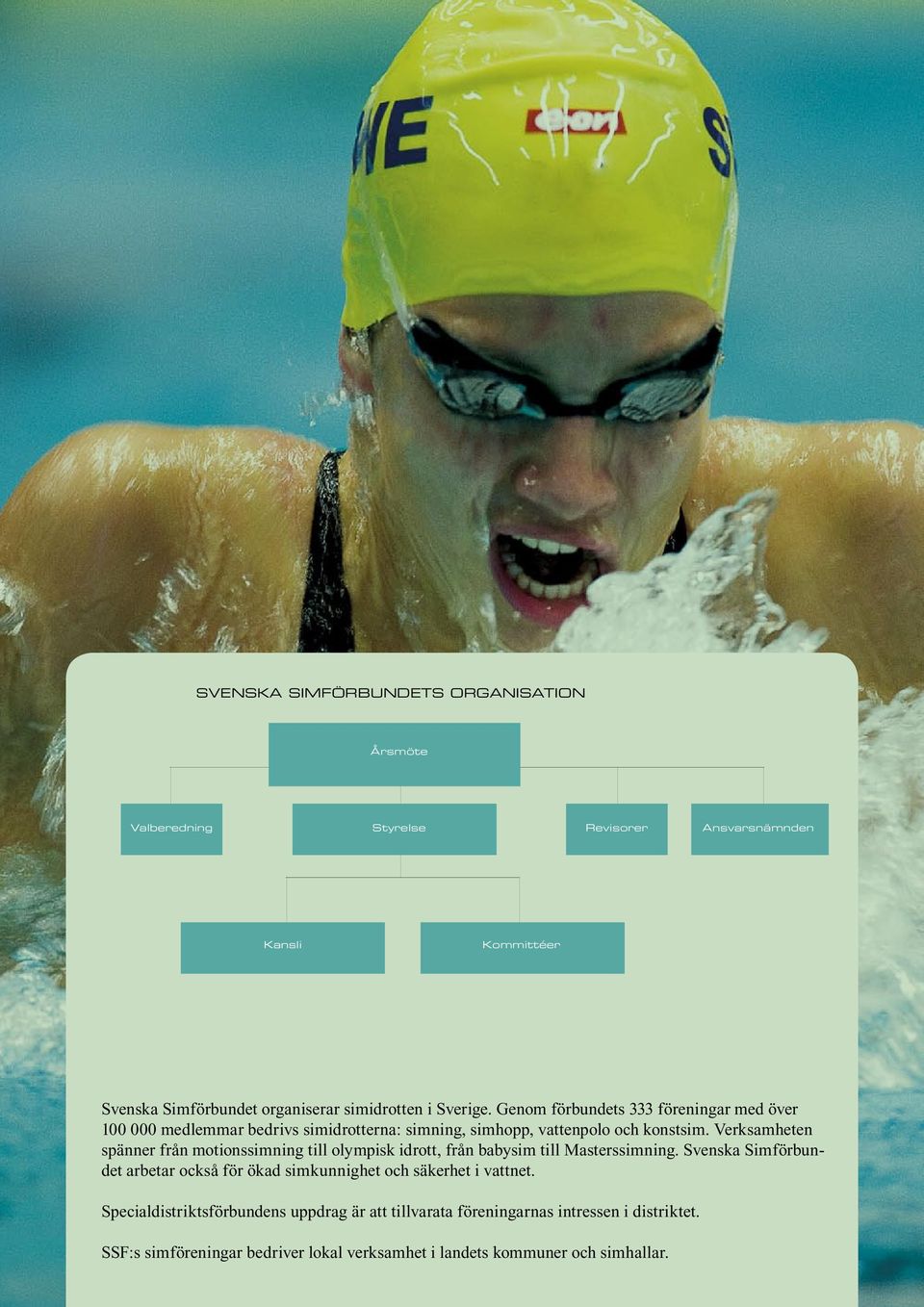 Verksamheten spänner från motionssimning till olympisk idrott, från babysim till Masterssimning.