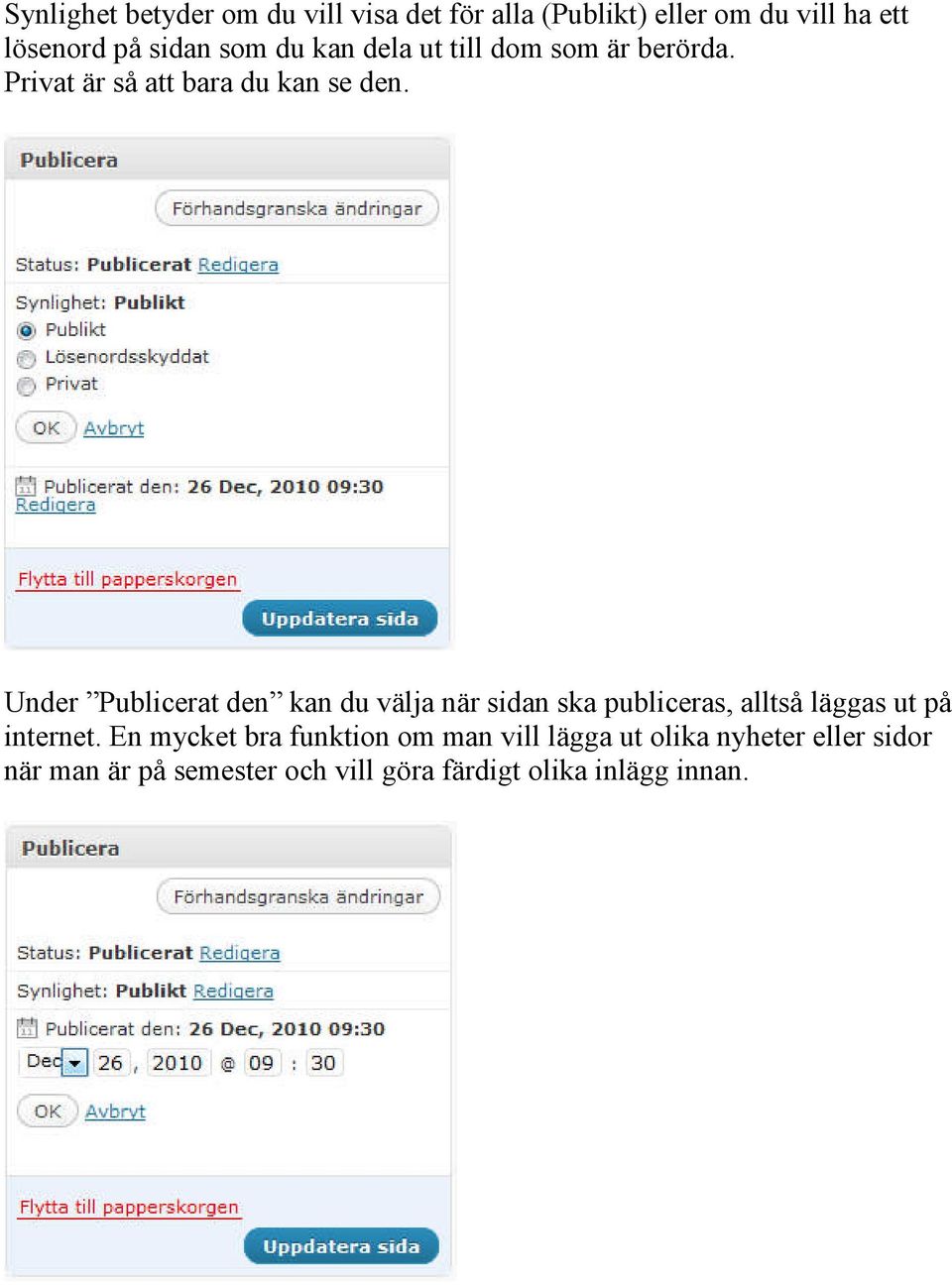 Under Publicerat den kan du välja när sidan ska publiceras, alltså läggas ut på internet.