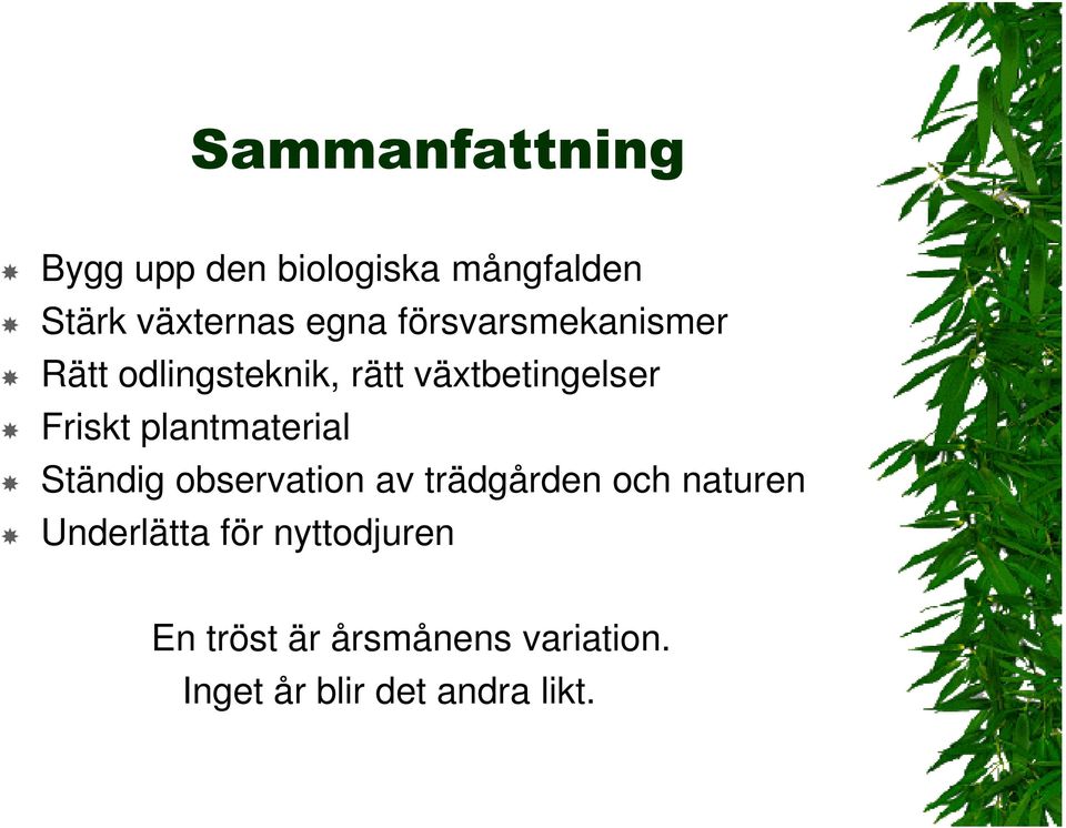 plantmaterial Ständig observation av trädgården och naturen Underlätta