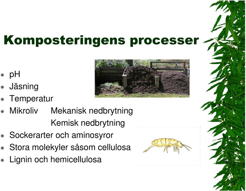 Kemisk nedbrytning Sockerarter och