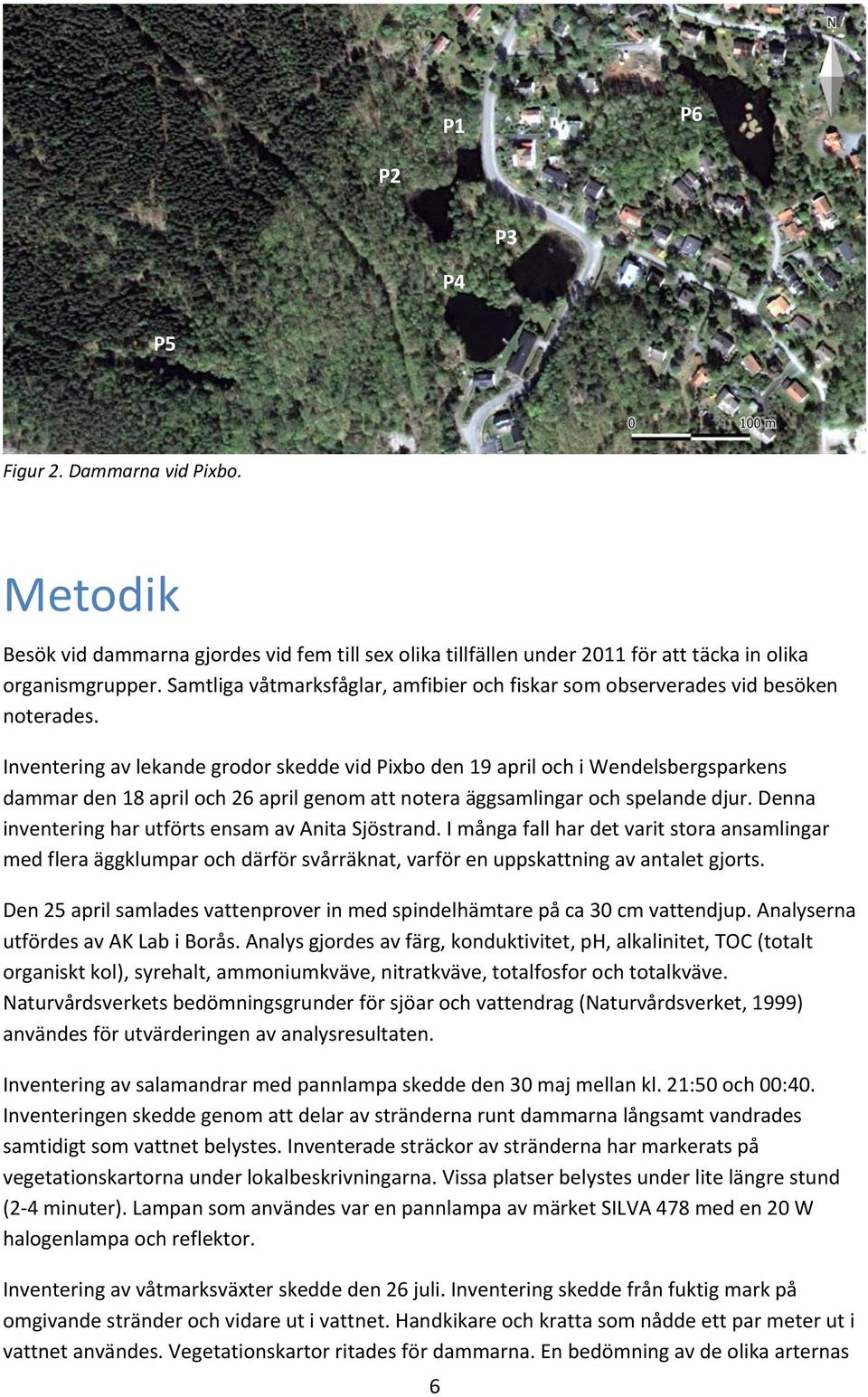 Inventering av lekande grodor skedde vid Pixbo den 19 april och i Wendelsbergsparkens dammar den 18 april och 26 april genom att notera äggsamlingar och spelande djur.