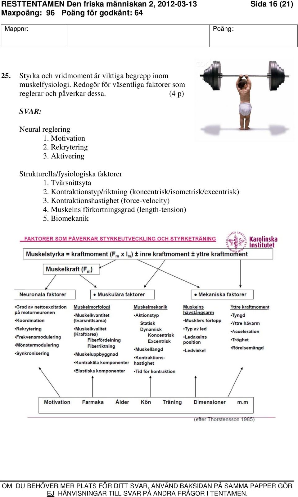 Aktivering Strukturella/fysiologiska faktorer 1. Tvärsnittsyta 2. Kontraktionstyp/riktning (koncentrisk/isometrisk/excentrisk) 3.