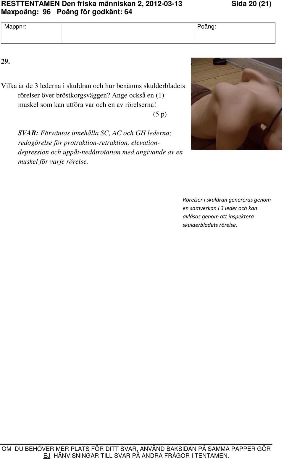 Ange också en (1) muskel som kan utföra var och en av rörelserna!