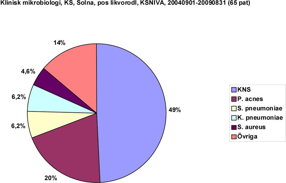 pat) 14% 4,6% 6,2% 6,2% 49% KNS P.