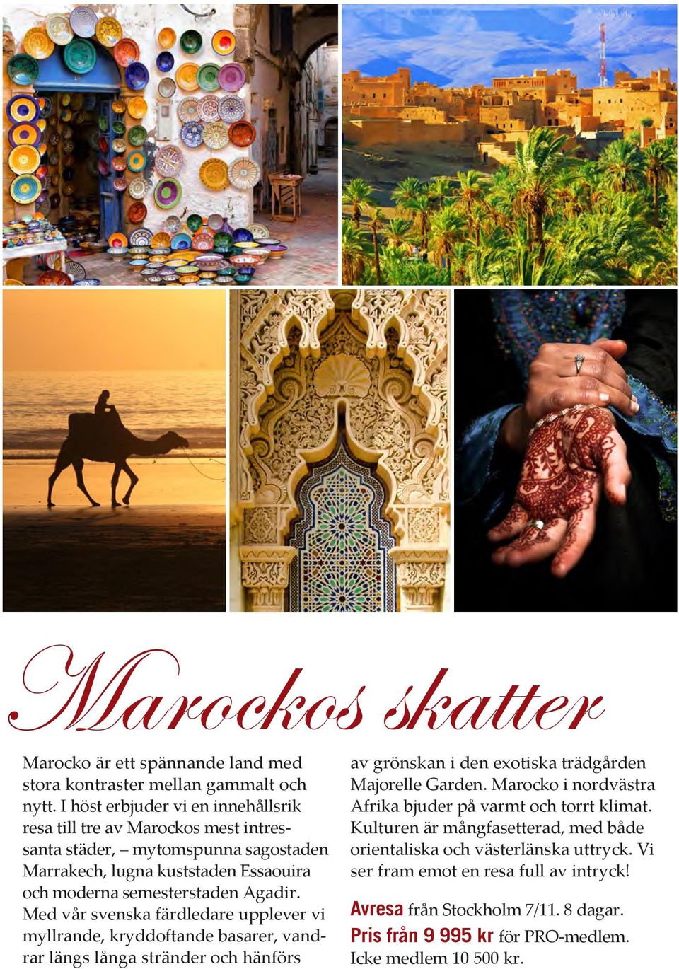 Agadir. Med vår svenska färdledare upplever vi myllrande, kryddoftande basarer, vandrar längs långa stränder och hänförs av grönskan i den exotiska trädgården Majorelle Garden.