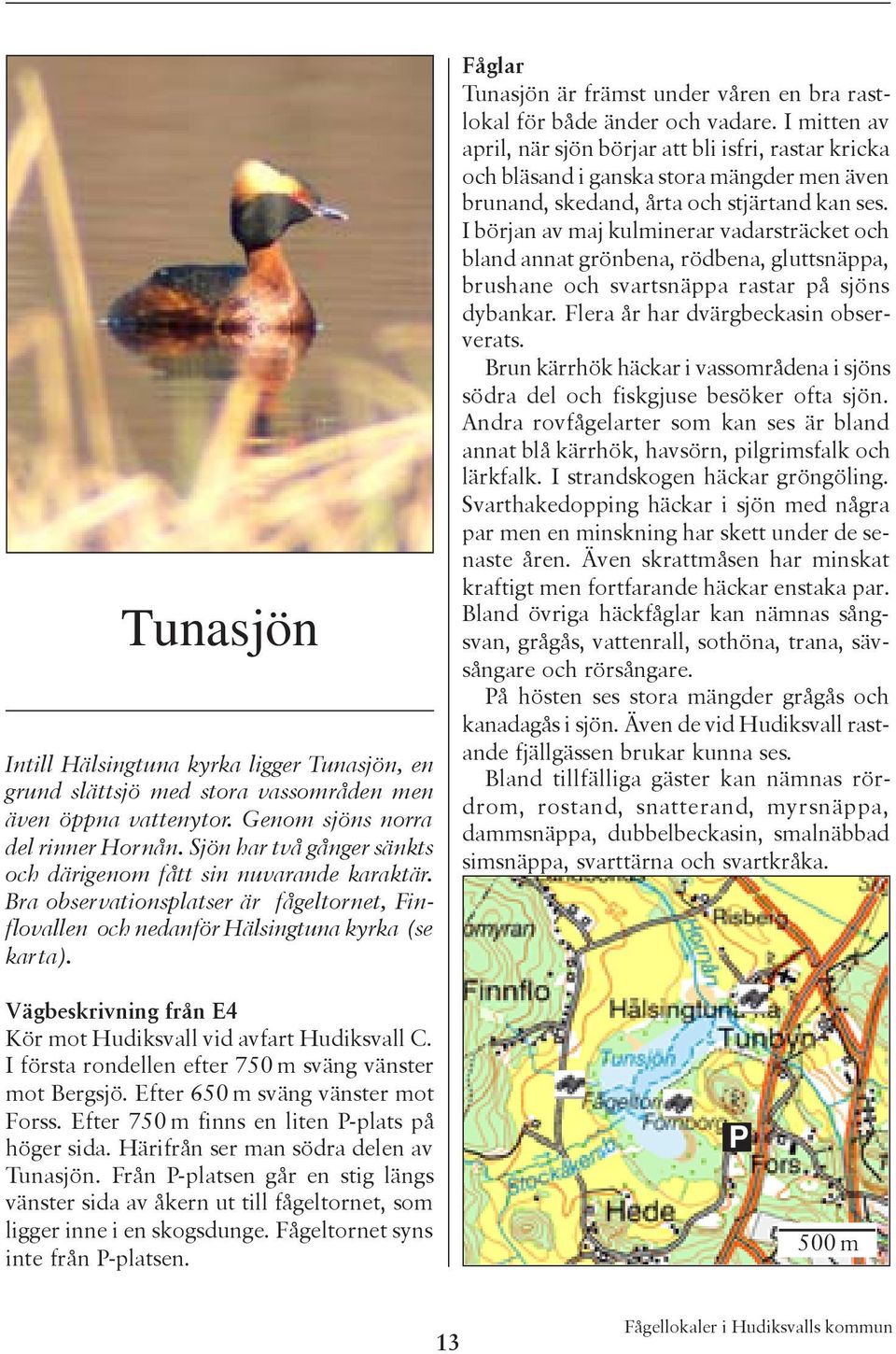 Fåglar Tunasjön är främst under våren en bra rastlokal för både änder och vadare.