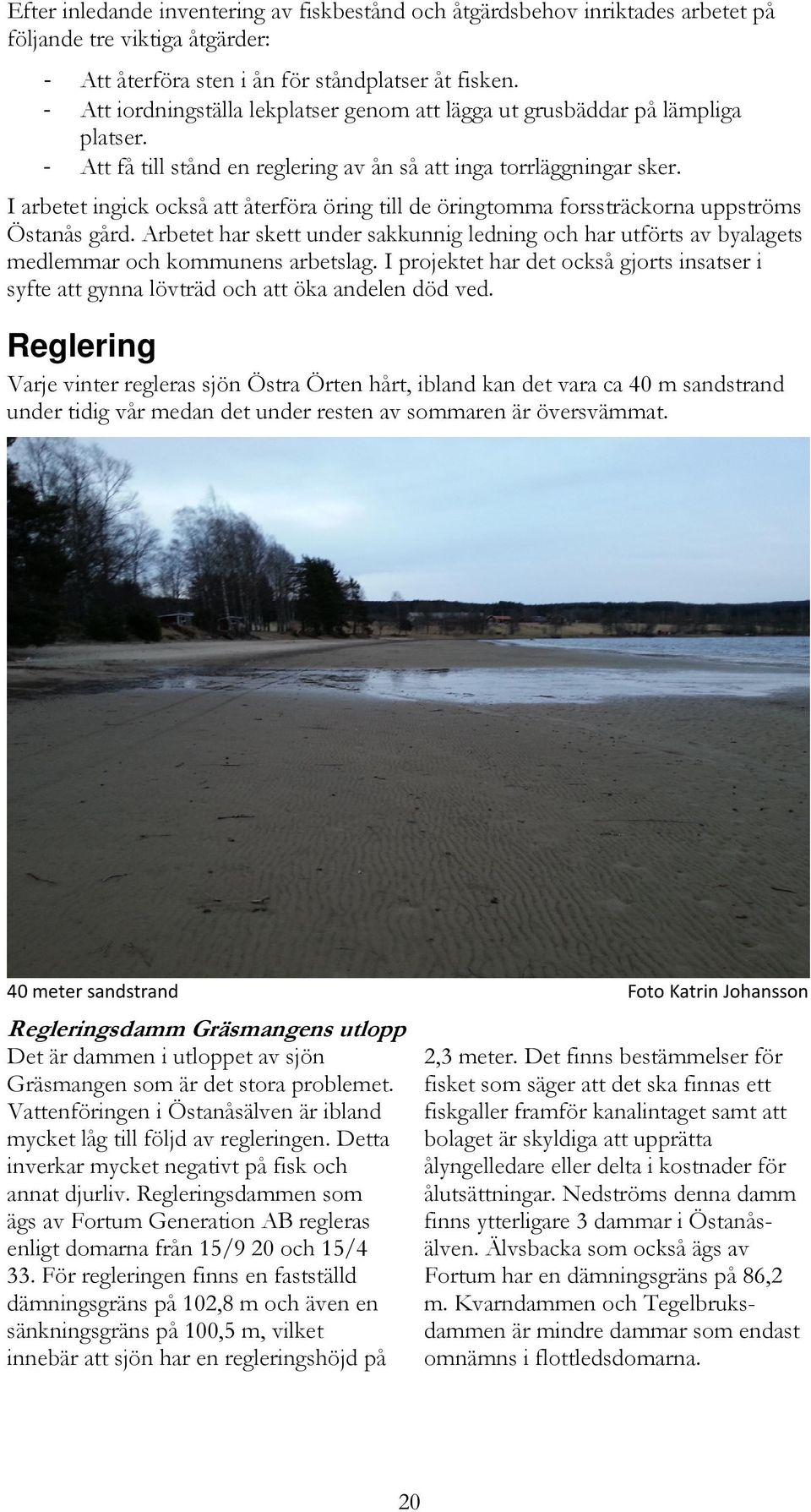 I arbetet ingick också att återföra öring till de öringtomma forssträckorna uppströms Östanås gård.